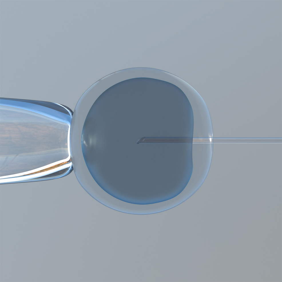 first synthetic human embryo