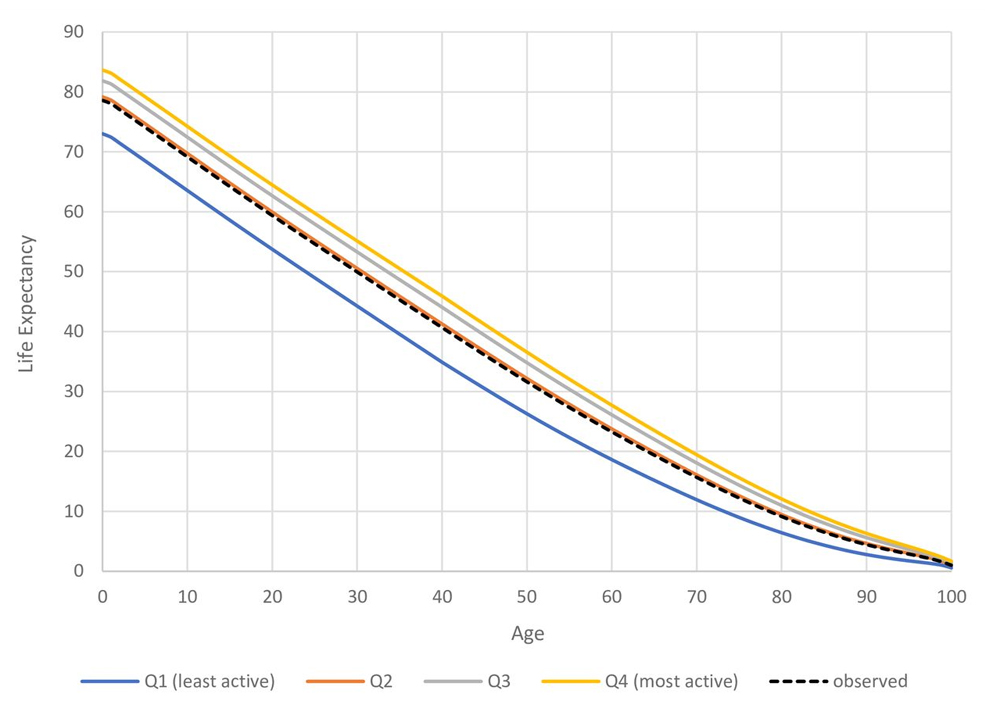life expectancy active vs sedentary lifestyle graph