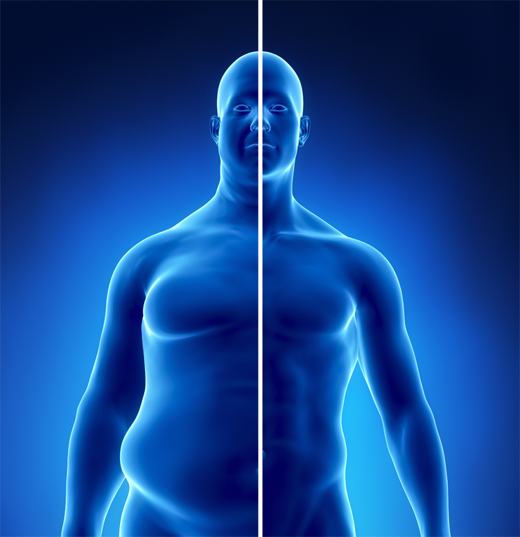 obesity weight loss timeline