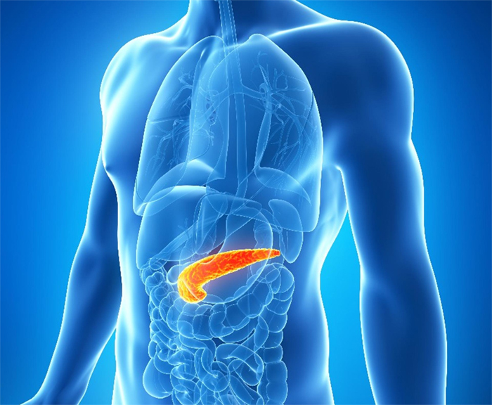 pancreatic cancer future timeline