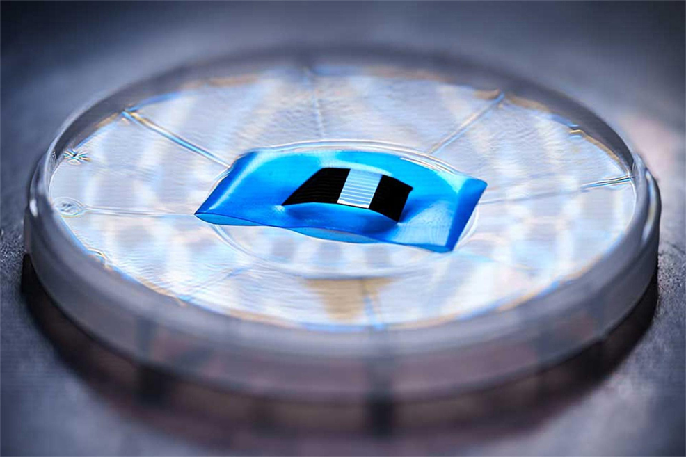 photonic cold plate