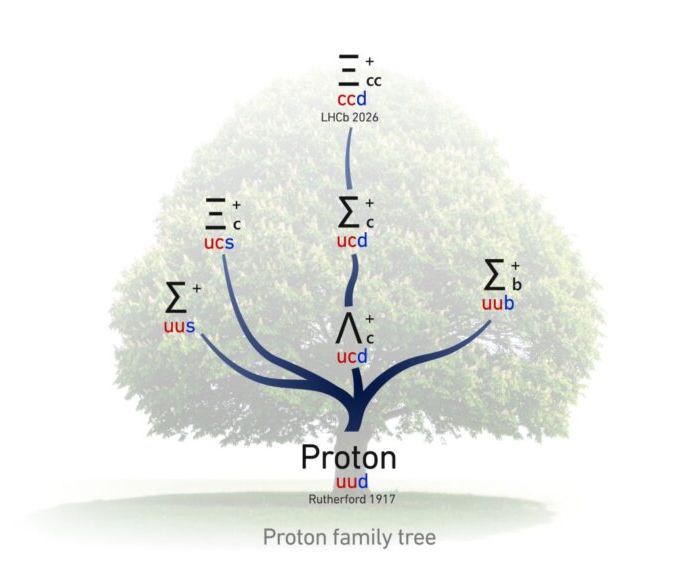 proton family tree