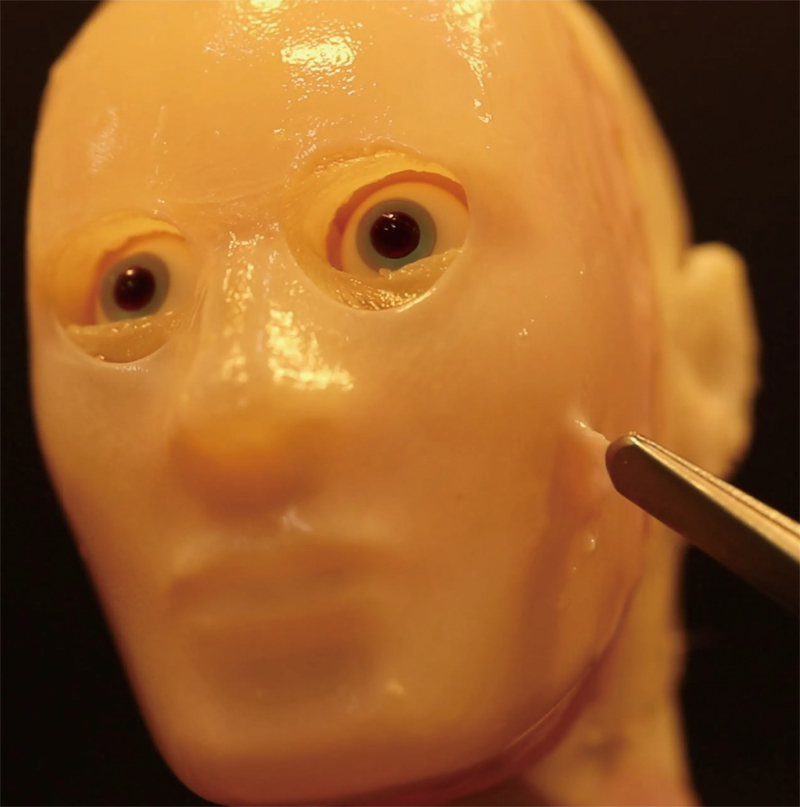 robot face living skin